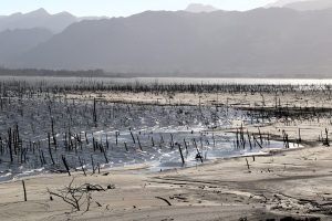 Western Cape dam levels show good news and bad news
