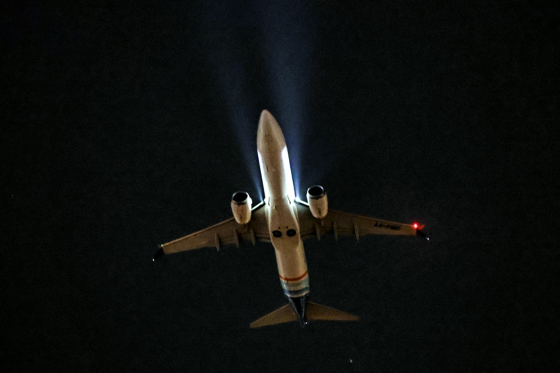 Pilot tries to crash plane