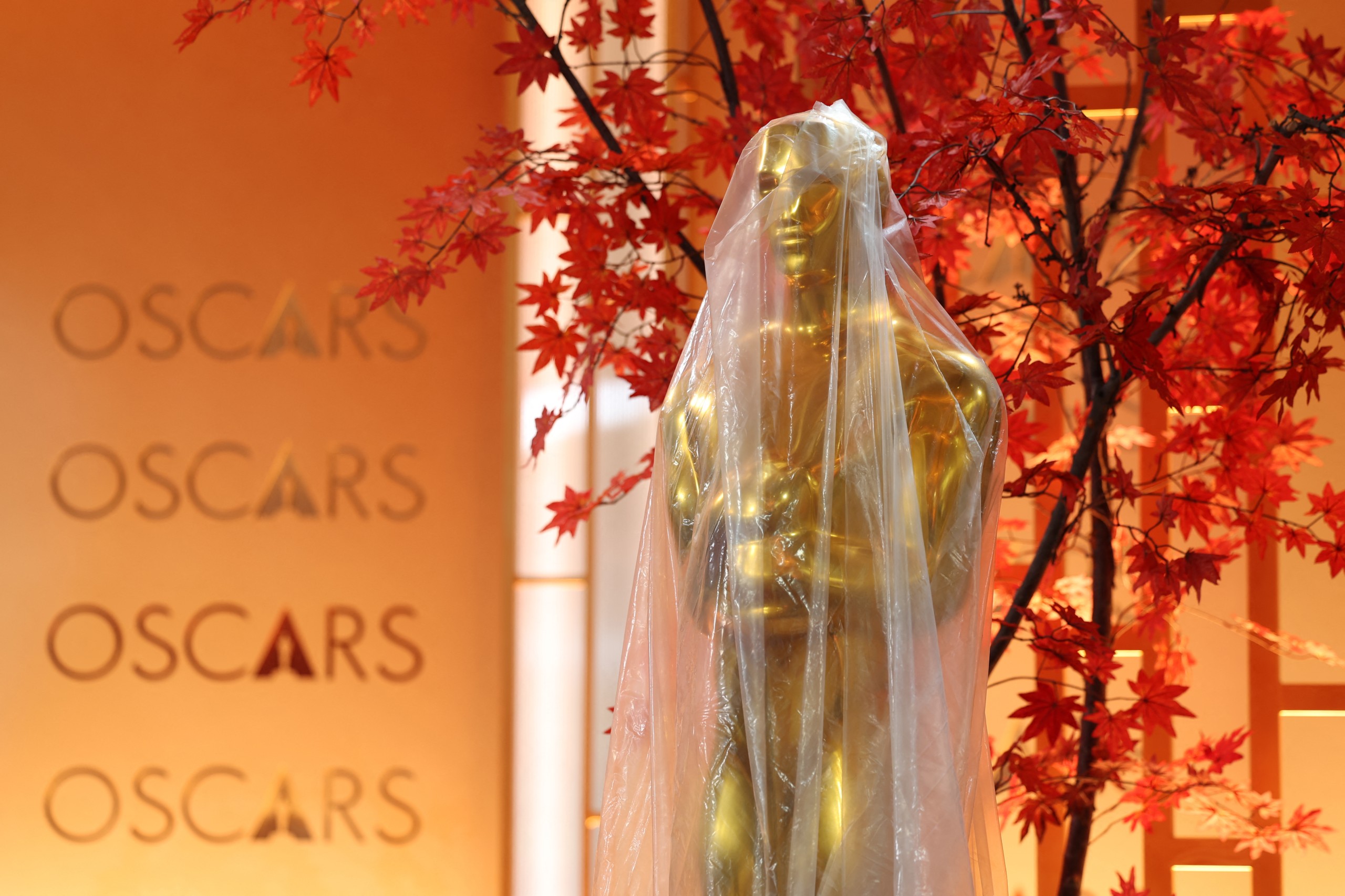 Oscars-fever: The top 10 nominees for best picture