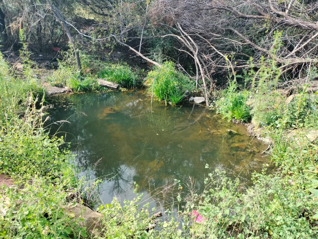 Die onderste poel wat gevorm het waar 'n varswaterpyp onder 'n reservoir in Albrechstraat lek