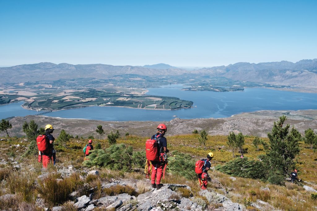 Clearing invasive alien plants