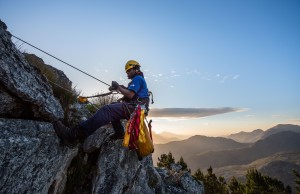 Clearing invasive plants unlocks 18,77 billion litres of water per year