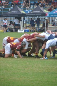 Vaste fasette-oorlog tussen Tralies en Bruin Bere wag