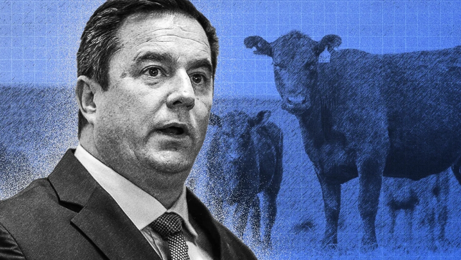 Minister John Steenhuisen.    PHOTO: Daily Investor