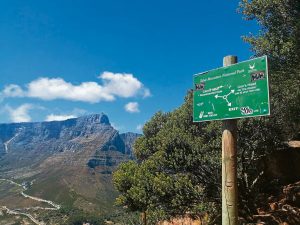 Most Cape Town hiking emergencies are preventable, warn rescue teams