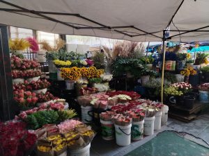 Trafalgar Flower sellers raise alarm over City of Cape Town trading plan