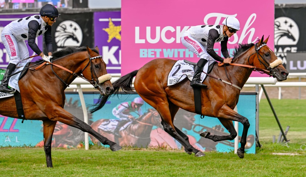 Wish List takes the lead in the Lucky Fish Cape Derby at Hollywoodbets Kenilworth on Saturday. Photo: Chase Liebenberg