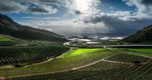 Five reasons to visit Riebeek-Kasteel in the Swartland this Easter weekend