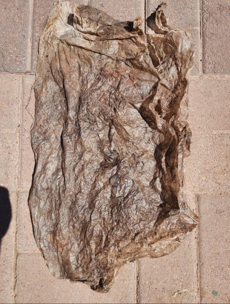 'n Foto van een van die items wat gevind is soos geplaas deur Dolley-Major op haar Facebook-blad.