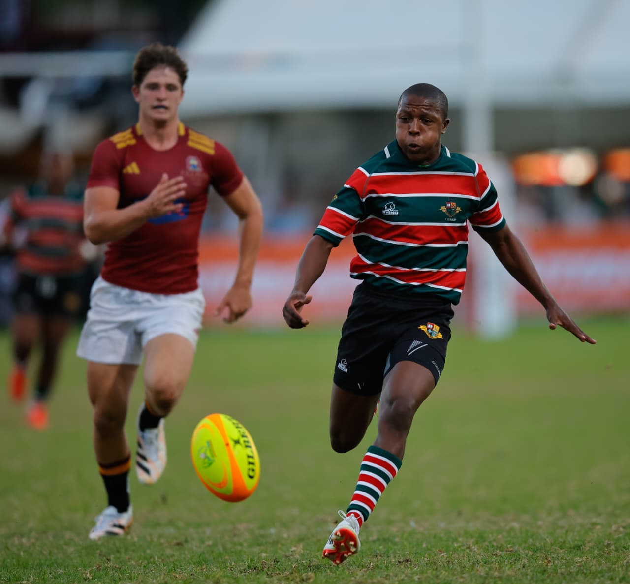 Pretoria Boys High, showed true grit when facing the Stellenbosch giants of Paul Roos.