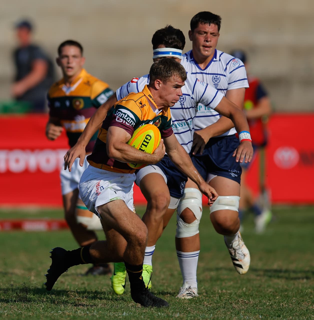 Paarl Gimnasium delivered a ruthless demolition of Menlo Park at Noord Suid.