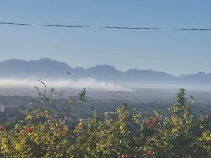 WATCH | Philippi fire still raging, fanned by strong winds