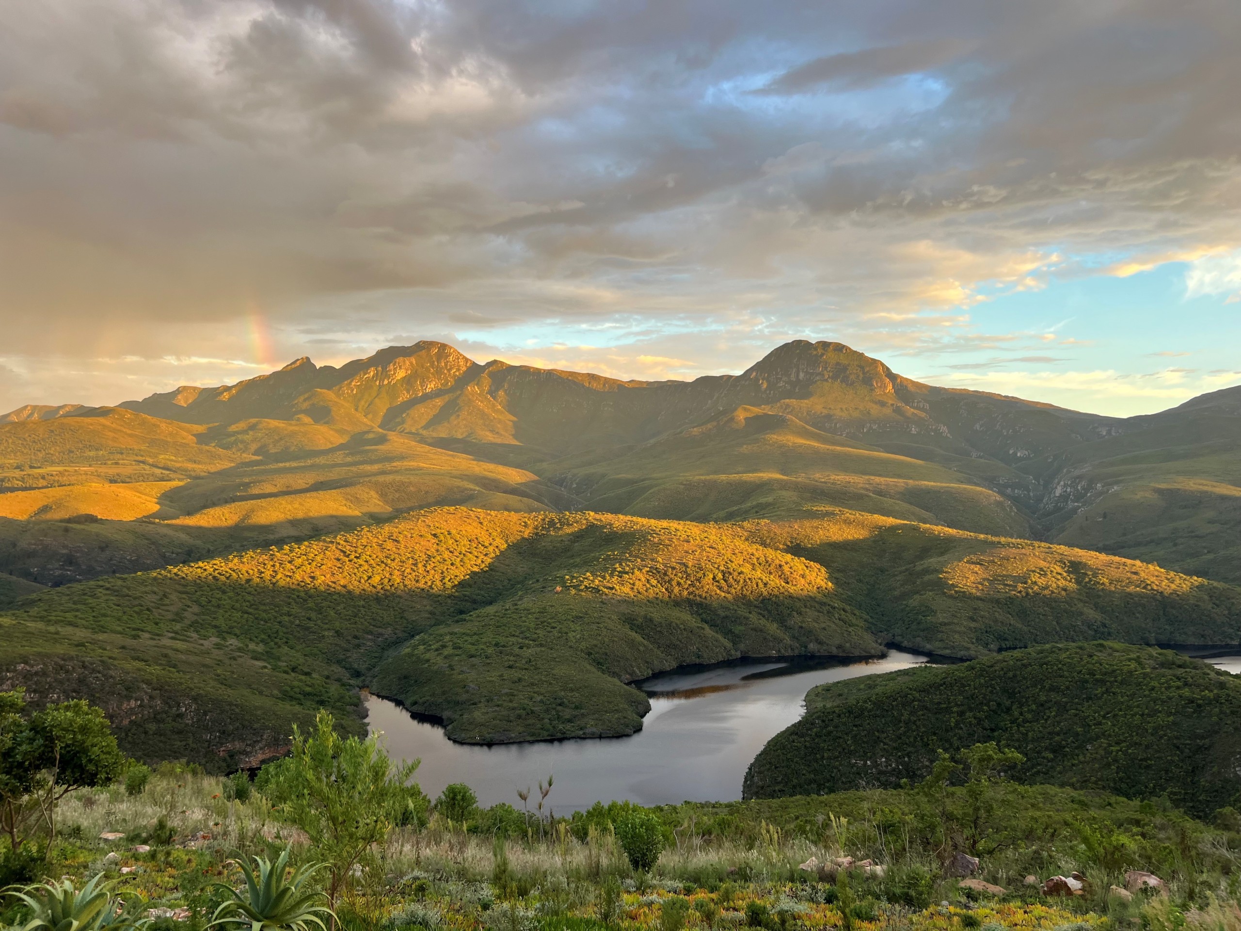 The Wilderness Nature Reserve. Photo: Michael Raimondo
