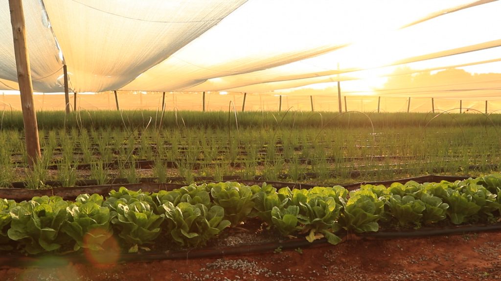 Farming for the Future programme