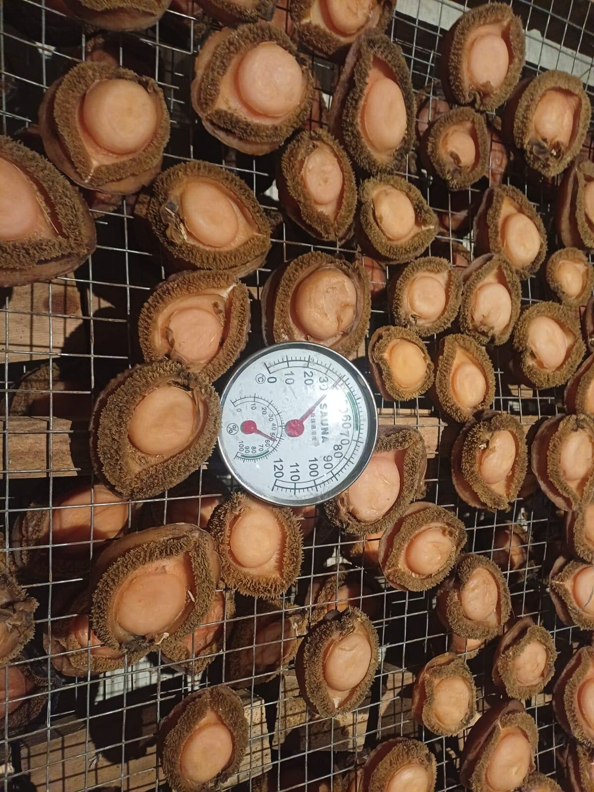 Abalone valued at about R1.2 million was confiscated during a joint operation at an alleged processing facility in Table View.