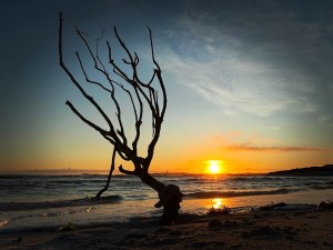 Cape heatwave triggers widespread power failures