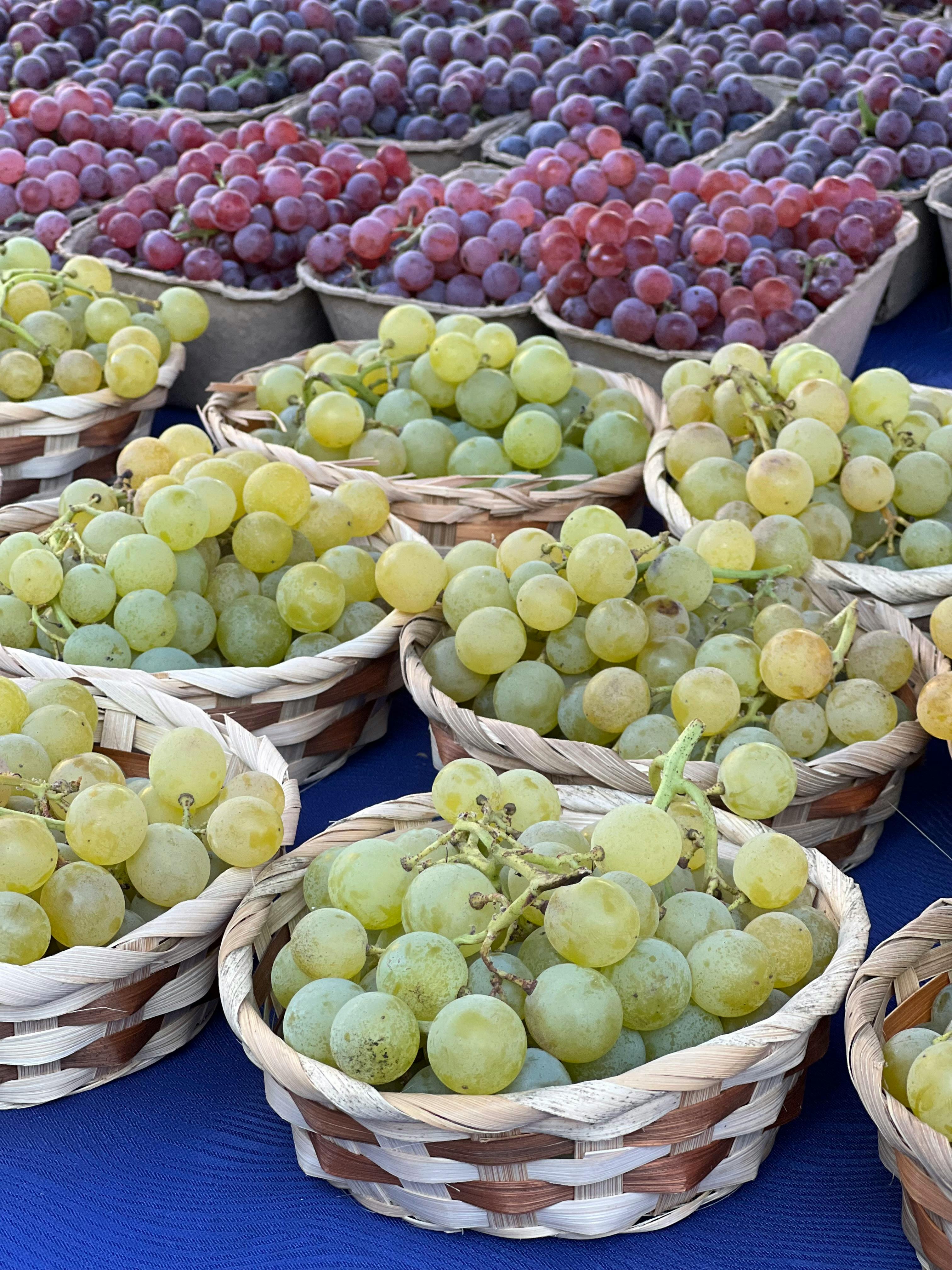 South Africa’s first table grape shipment reaches Philippines