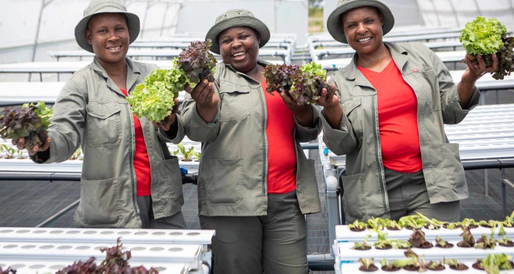 Nearly 600 community food gardens from across South Africa have entered Shoprite's inaugural Act for Change Food Garden Competition, with the top 10 finalists now announced following a rigorous judging process.