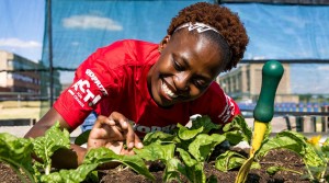 Top 10 finalists announced in Shoprite’s food garden competition