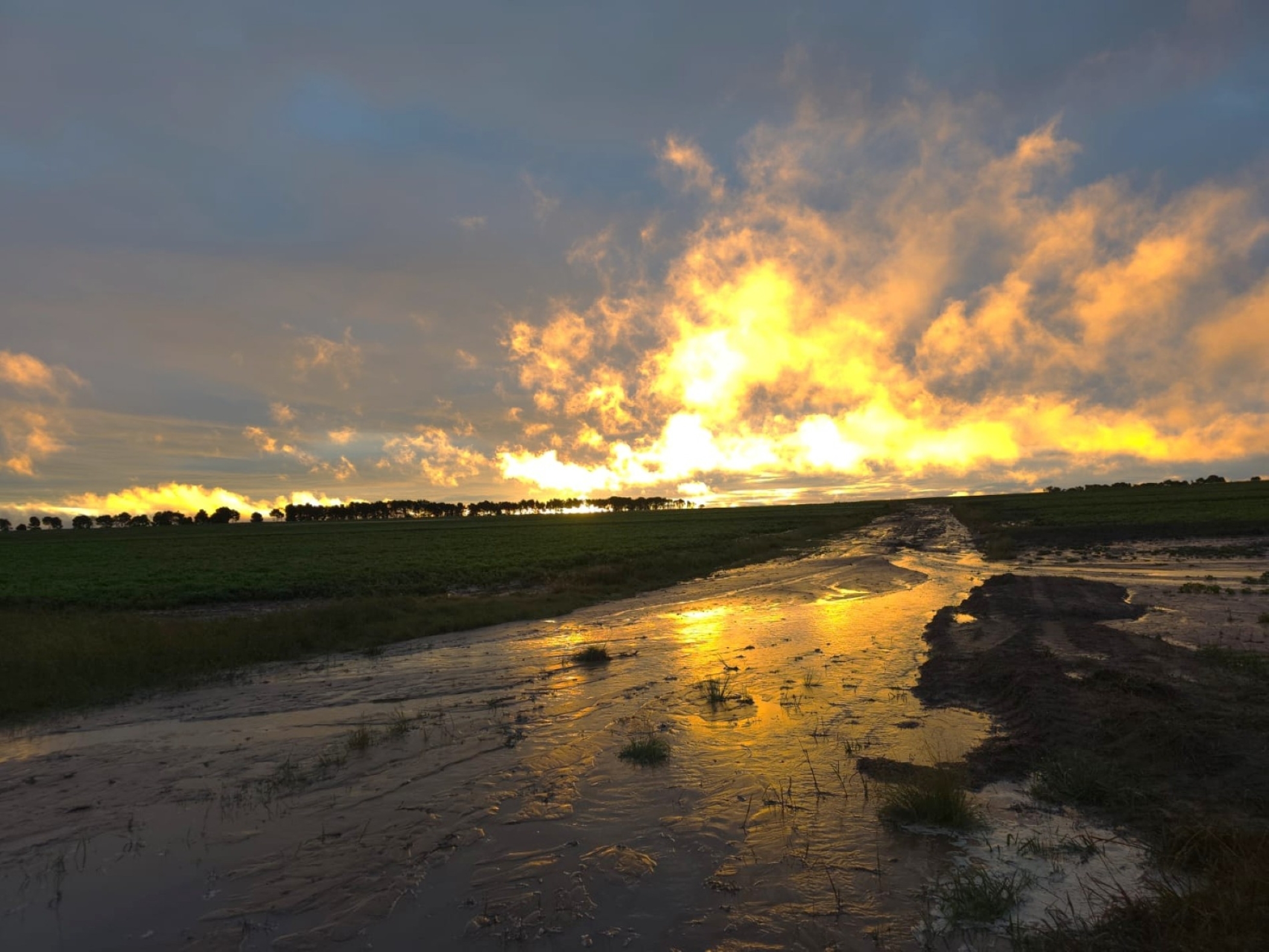 Die son steek laat Vrydagmiddag 6 Maart kop uit nadat swaar reën in die Oos-Vrystaat uitgesak het. Die foto is op 'n plaas in die Bethlehem-distrik geneem nadat 80mm reën geval het.