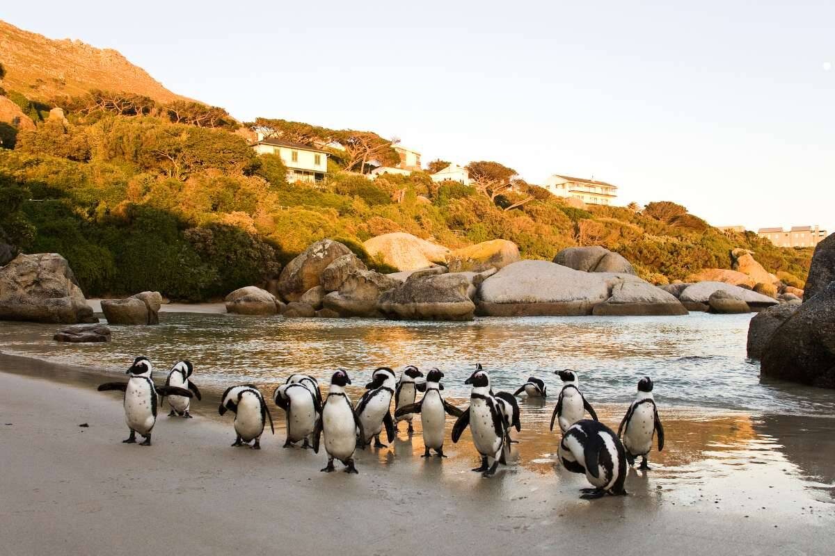 Cape Town beaches claim top spots