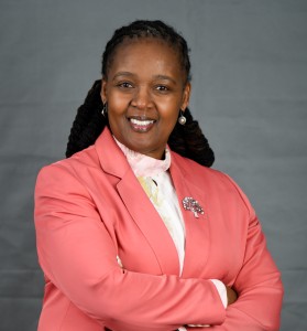 New chairperson appointed to lead THENSA board of directors