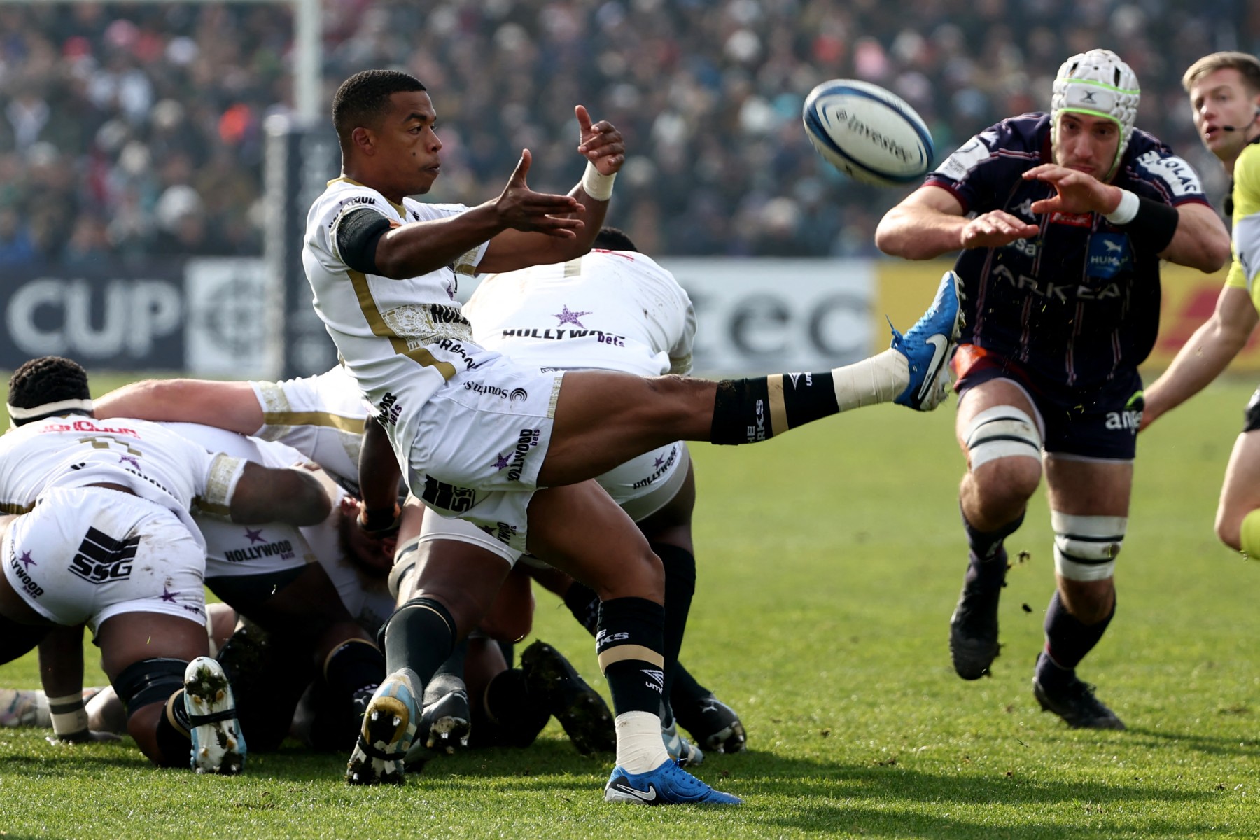 Williams heads East as Sharks lose Springbok scrumhalf to Japan