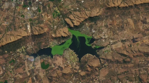 Vibrant, verdant masses of algae and invasive aquatic plants frequently cover the surface of the reservoir at South Africa's Hartebeespoort Dam.