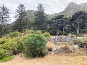 Battle of Muizenberg site declared a Provincial Heritage Site