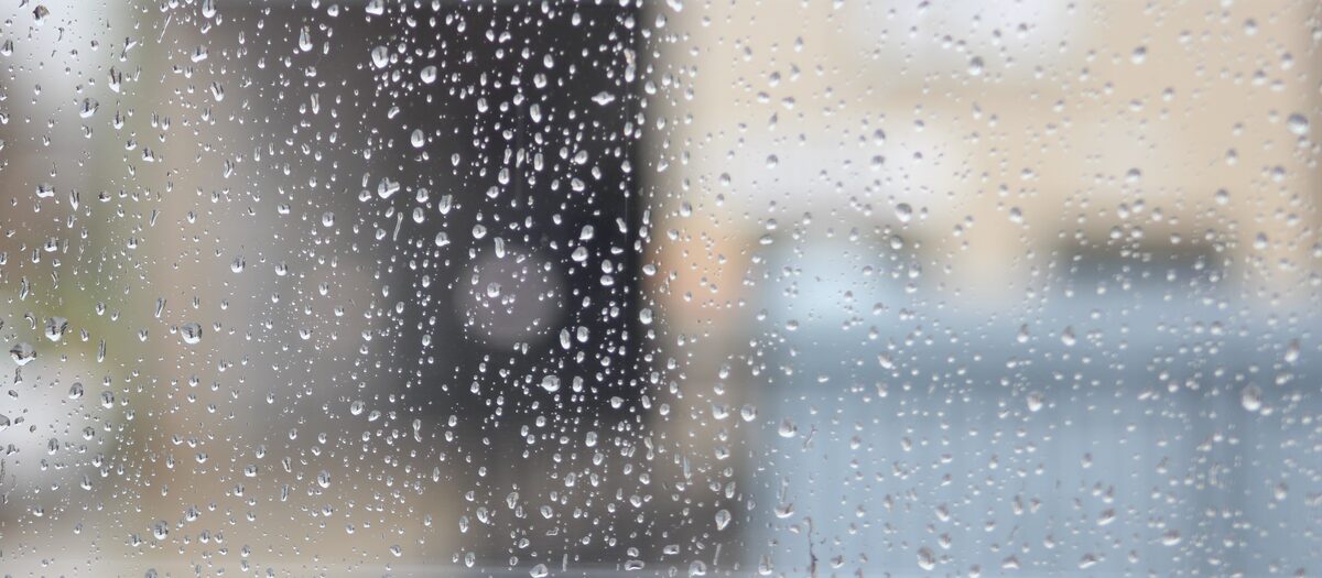 Perfect time to do a proper pre-winter assessment of your property