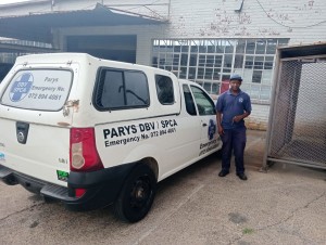 Burglary at SPCA Parys leaves animal welfare services disrupted