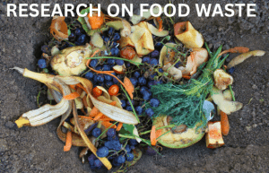 Research Examines Urban Food Waste And Inequality In Cape Town