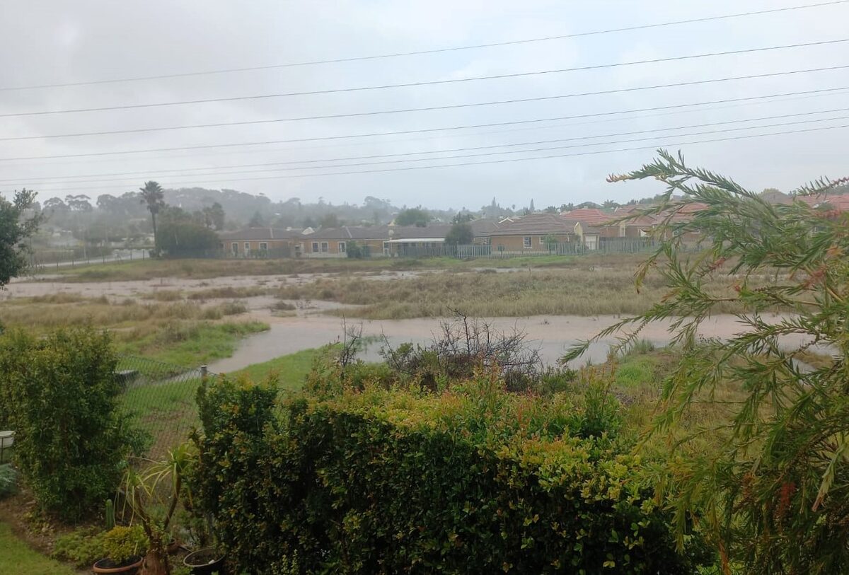The Uitkamp wetland is barely 100 metres away form the planned filling station.