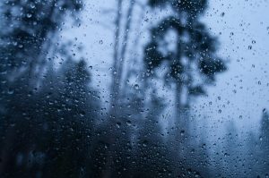Weather service issues warnings as wet, windy spell sets in