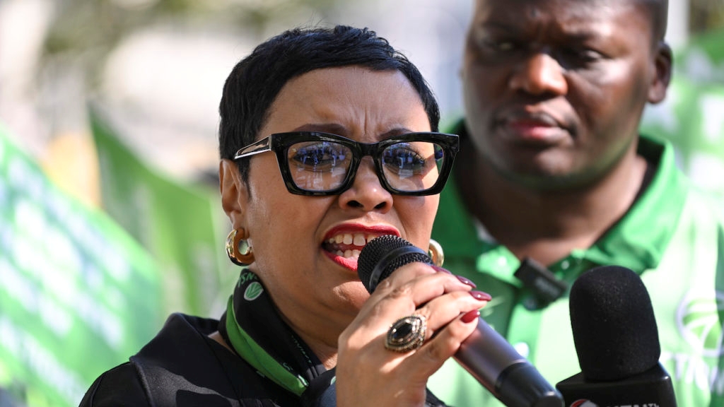 Dereleen James - The suspension of National Police Commissioner General Fannie Masemola has been welcomed across the political spectrum.