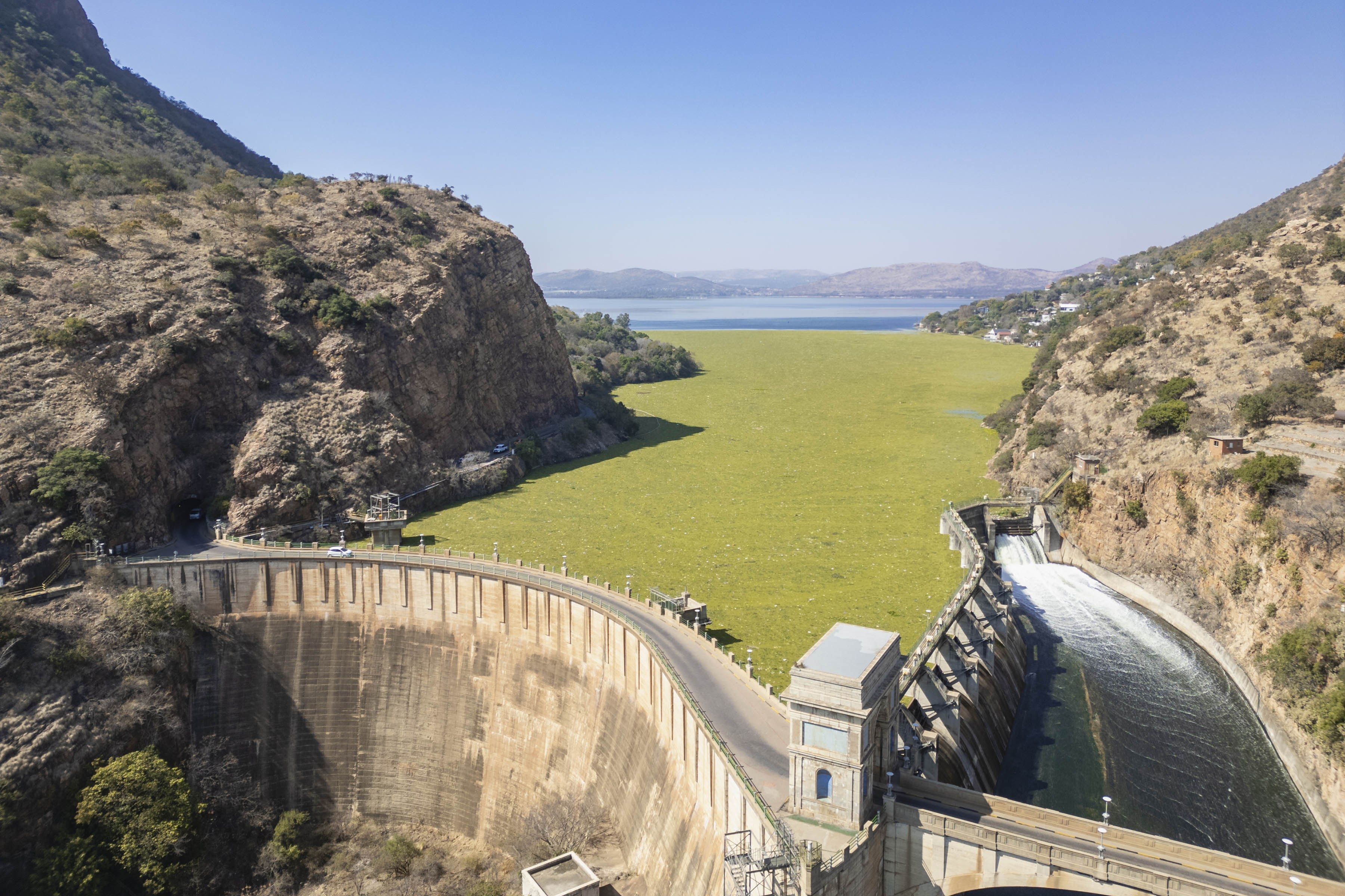A green carpet of Salvinia minima, a free-floating, rootless aquatic fern native to South America covers an area near the Hartbeespoort Dam wall in North West province. Ihsaan Haffejee