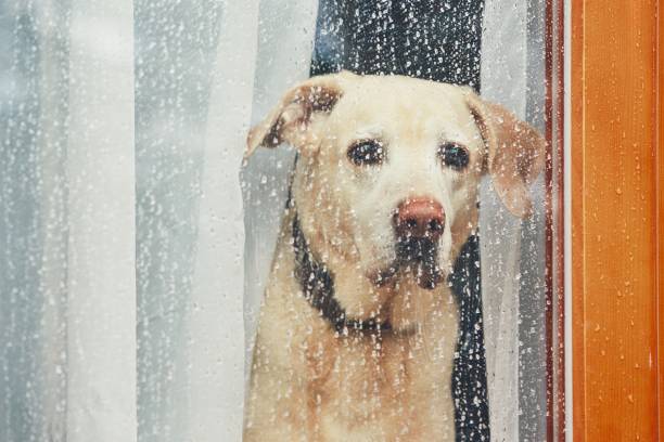 Cold weather in Cape is opportunity to prepare your home for winter