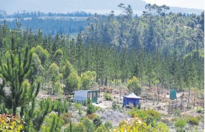 Minister intervenes in contested Knoflokskraal settlement as tensions mount