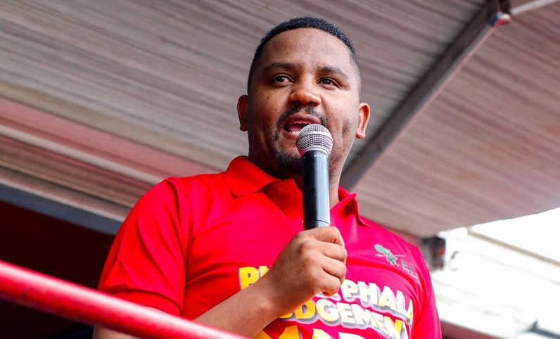 EFF member takes control of Gauteng’s finances amid political controversy