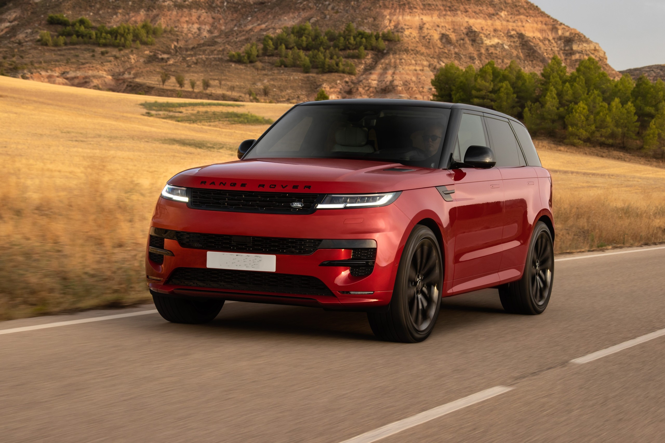 A suspect (34) has been summoned to appear in the Pinetown Magistrates Court on 10 June on a fraud charge relating to the alleged purchase of a high-end Range Rover Sport.