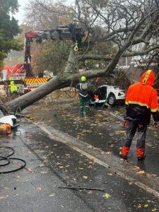 E-hailing passenger dies in Wynberg after tree crushes vehicle