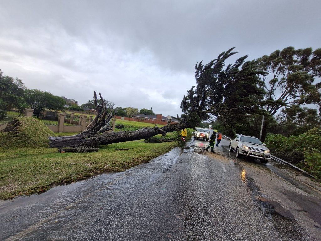 A tree, that blocked Circular Drive this morning, has been cleared.