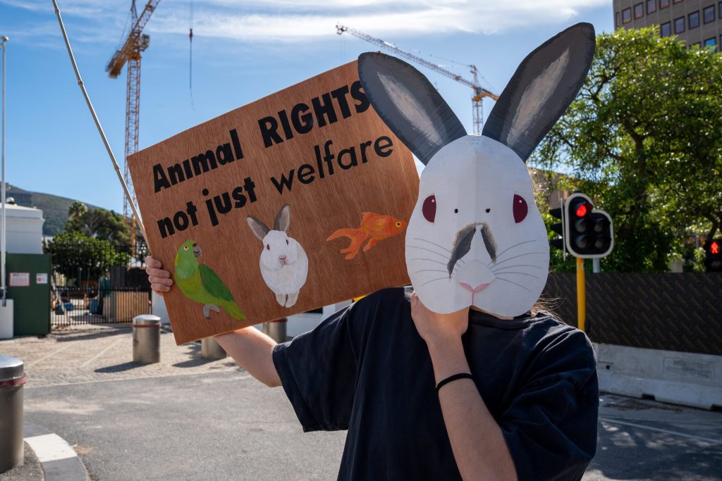 animal rights photo