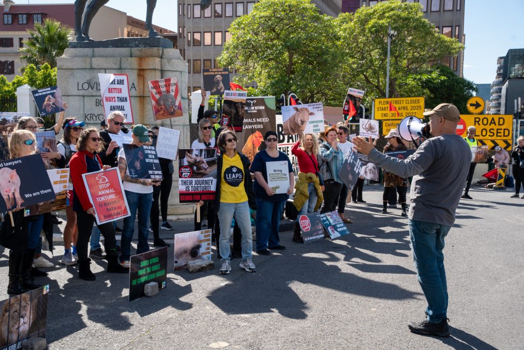 Animal protection groups gathered outside parliament  on Saturday, calling for stronger legal protections for animals in SA.