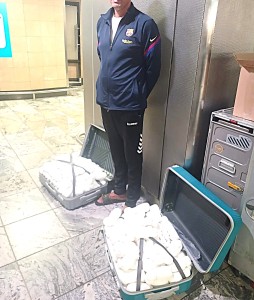 Suspected Dutch drug mule arrested after police seize Khat worth R240 000