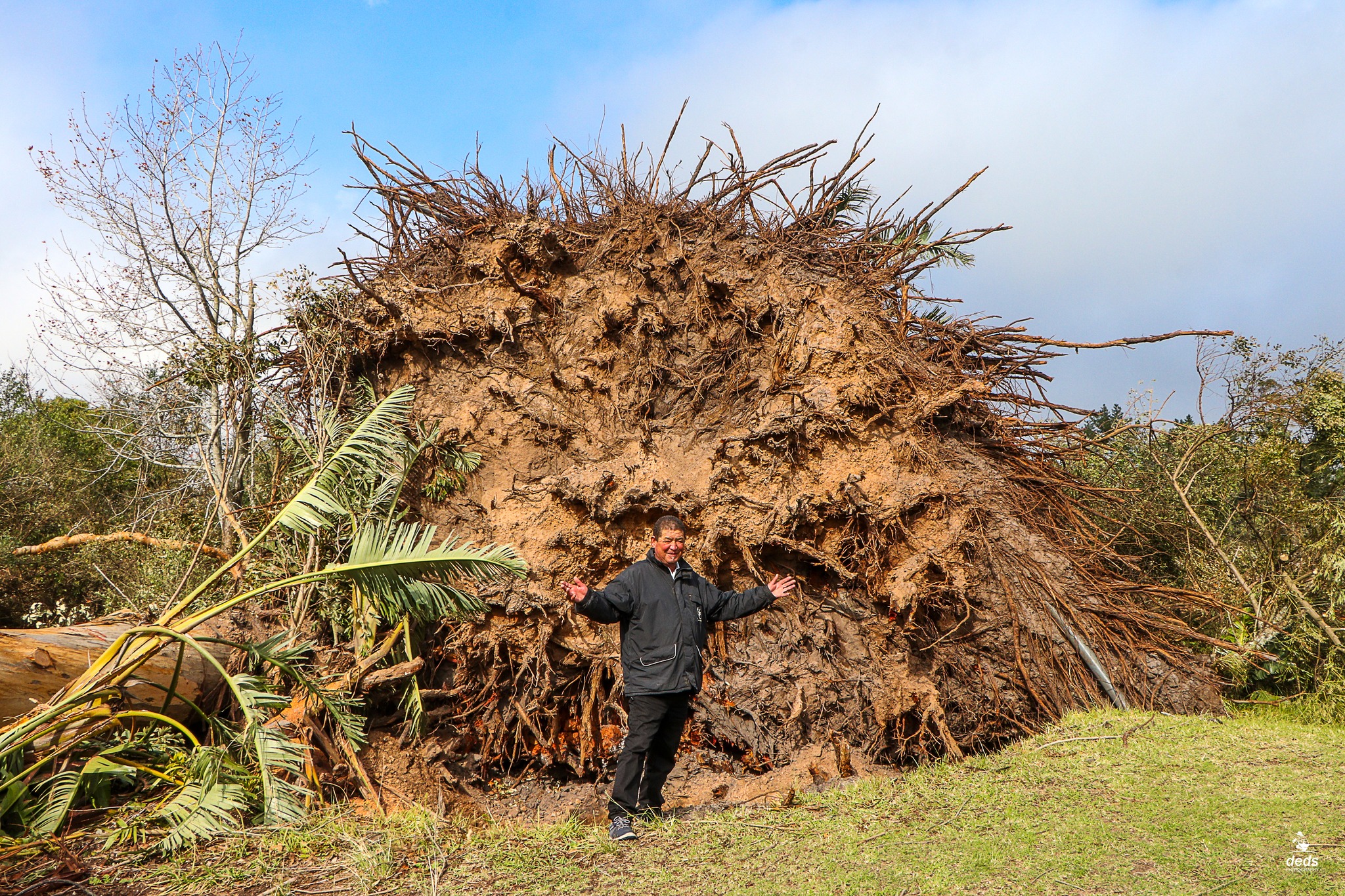 Hundreds of trees were uprooted at the George Golf Club during severe weather.