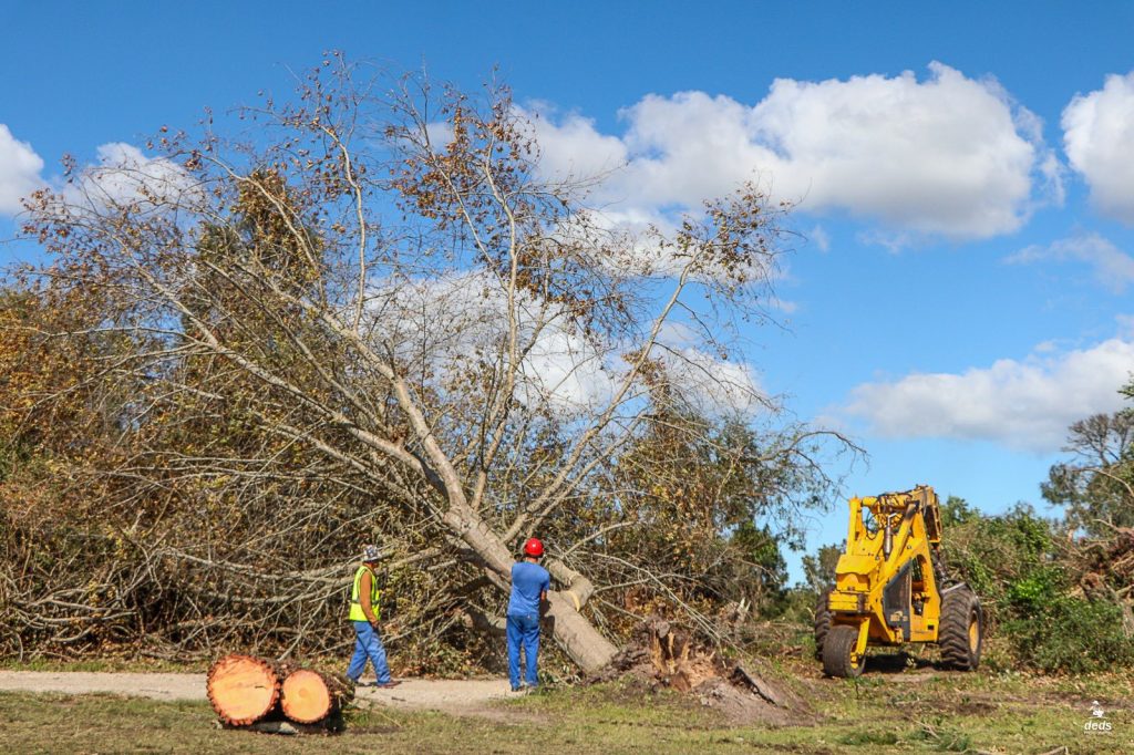 George Golf Club has experienced significant damage following the severe storms and gale-force winds that swept through the Garden Route.