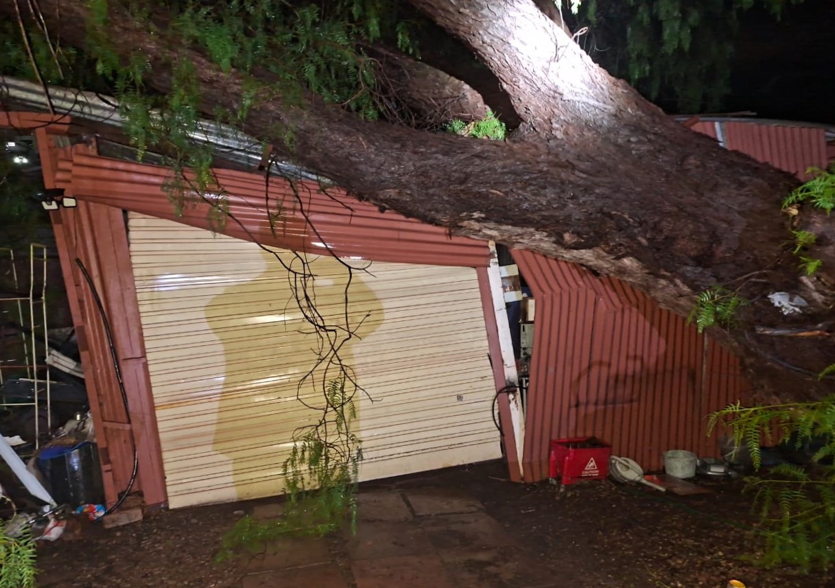 'n Ontwortelde boom in Kathu na die storm.