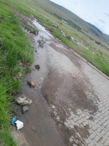 Rural roads deteriorating and sewerage catastrophes plague the Free State