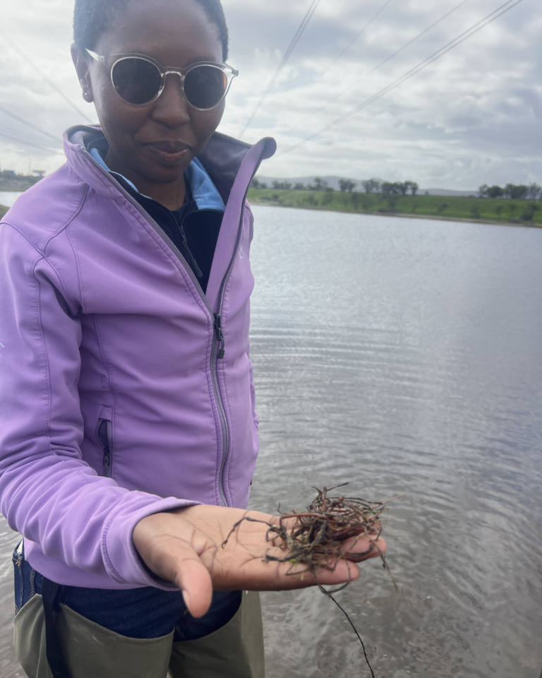 Lumka Madolo (Habitat Restoration Coordinator) at the Transnet site with onr of the Floating Buttons plants.